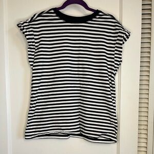 Everlane striped tshirt